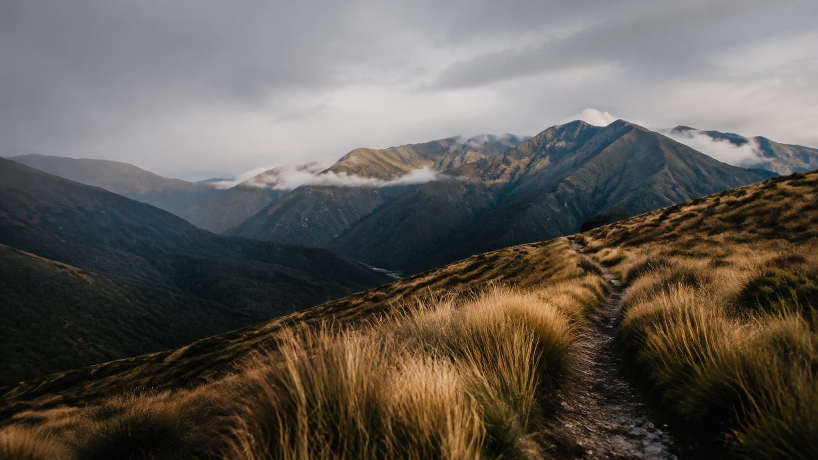 A narrow mountain trail crossing golden tussock toward peaks beneath low cloud